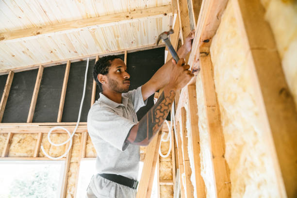 Best Spray Foam Insulation  in Little Falls, MN
