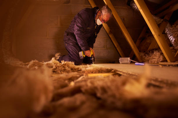 Best Insulation Removal  in Little Falls, MN